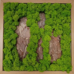Dekoracja z chrobotkiem 30x30cm