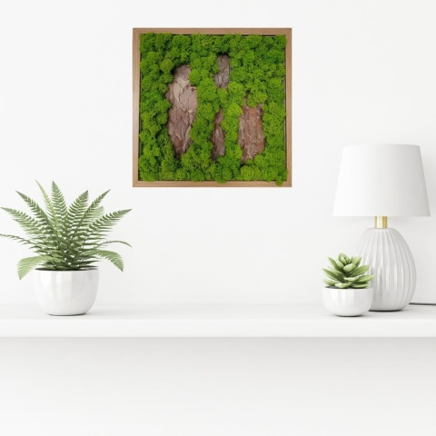 Obraz z chrobotkiem mchem 30x30 cm