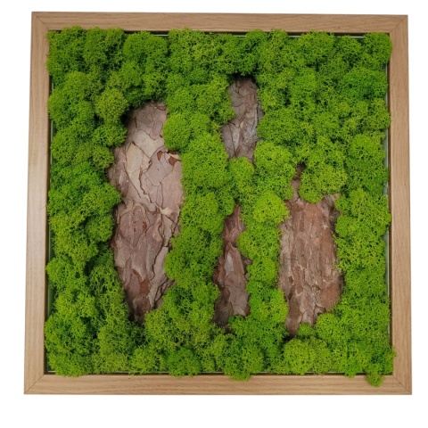 Obraz z chrobotkiem mchem 30x30 cm